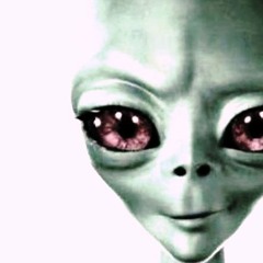 Epstein Family Vlog Official