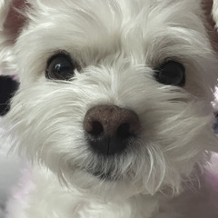 빨상