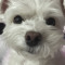 빨상