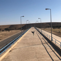 Mees Alotaibi