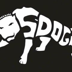 S-Dog Entertainment