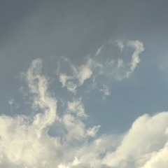 lifeisalreadyperfect