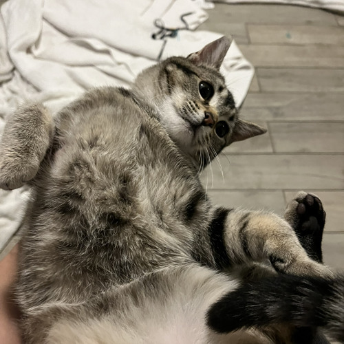 I’m not fine🖤💔💔💔💔💔