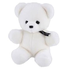 white teddy bear