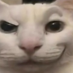 MIL0L0VESY0U^^