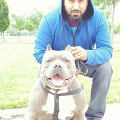 Ballu Sandhu