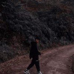 Báo Tình Cảm