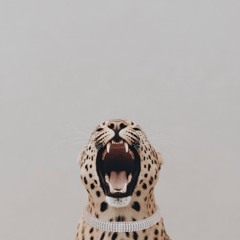 Parsa