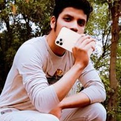 Rana Ali Rana Ali