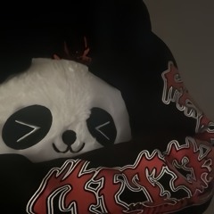 🐼