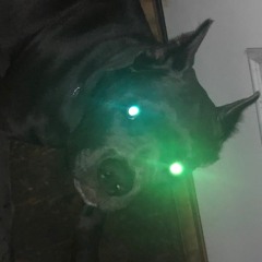 Nightmares Past 9 Made By Defensive