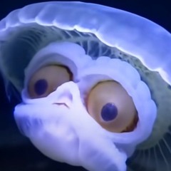 klogz