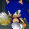 Sonic T. Hedgehog
