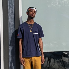 MLC_Mufasa
