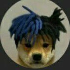 дог секс Stream XXX DOGE music | Listen to songs, albums, playlists for free on  SoundCloud