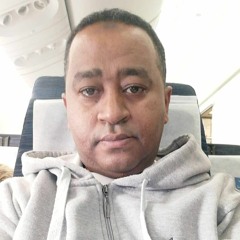 Hani Mahmoud
