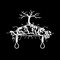 Agares