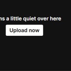seemsalittlequietoverhere