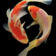 金山裕之