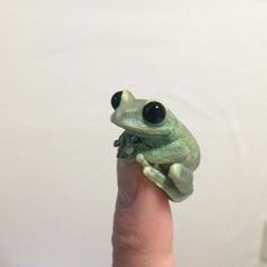 AAAAAAAAAAAAAAAAAAAAAAAAAAAAAAAAAAAAAAAAAAAAAAAAAA