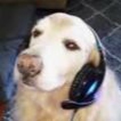 user719675712