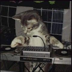 dj halbtrocken
