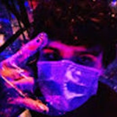 PVNK801V4MP