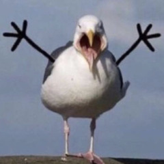 KingSaintForever (KSF)