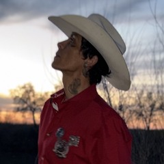 Chuquimamani-Condori