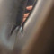 YY
