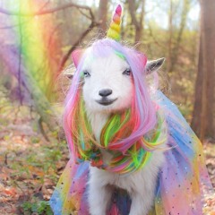 CoreSheep