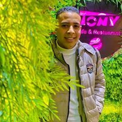 Ahmed Elsaka’s avatar