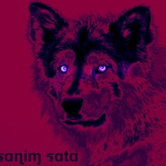Sanim Sata