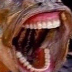 ¿)