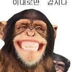 찢찢마스터