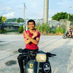 Apis Picok