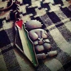 Haitham G Ragab
