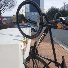 스키딩에 신