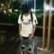 Young Skul