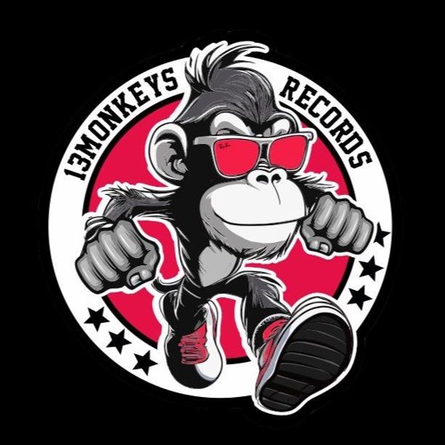 13Monkeys Records artist photo
