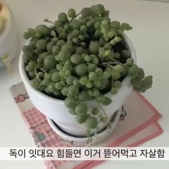 아잉