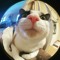 User 810262028
