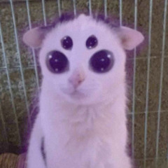xitemp