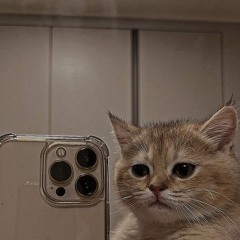 P@bl0