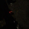 jjavii_13
