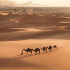 حسام الدين