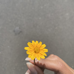 Eli 🌞