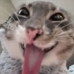 Eki