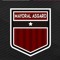 Mayoral Asgard