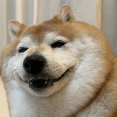 Woofer